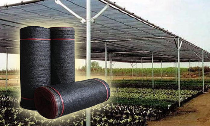 Distributor jaring paranet